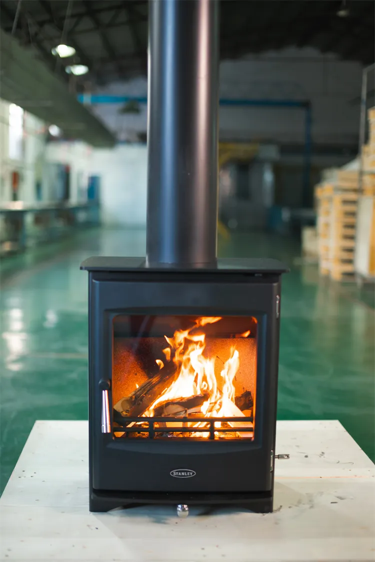 Viðarbrennandi innlegg